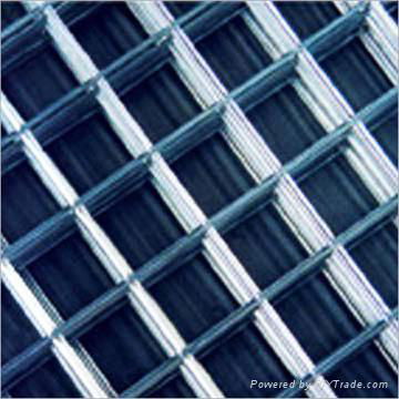 Welded Wire Mesh 3