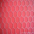 Hexagonal Wire Mesh