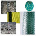 Hexagonal Wire Mesh 4