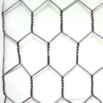 Hexagonal Wire Mesh 5