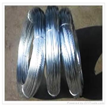 Galvanized Iron Wire 3