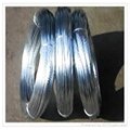 Galvanized Iron Wire 3
