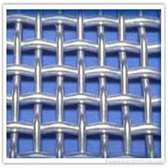 Galvanized Square Wire Mesh