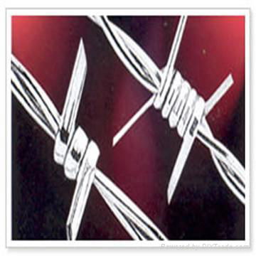 Barbed Iron Wire