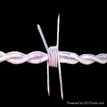 Barbed Iron Wire 3