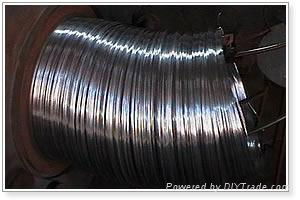 Annealed Iron Wire