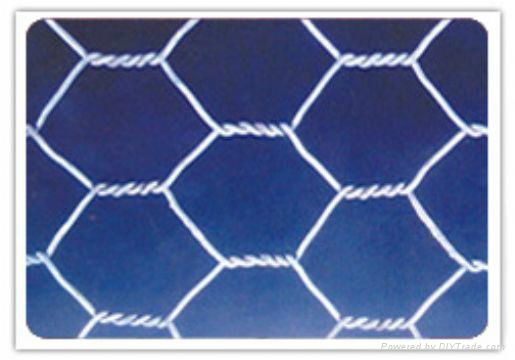 Hexagonal Wire Mesh 2