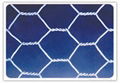 Hexagonal Wire Mesh 2