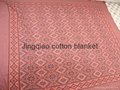 cotton blanket 4
