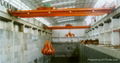 Hydraulic waste grab overhead crane 2