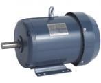 NEMA TEFC Three Phase Continuous Duty Motors