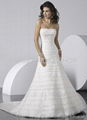 Wedding Dress Wear 2