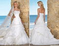 Wedding Dress Wear 1