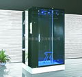 SPA steam room