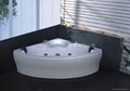 Sauna bathtub
