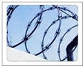 pvc  coated barbed wire