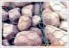 hot-dipped galvanized gabion mattress  1