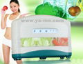 O3 Vegetables and Fruits Washer