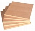Block Board Plywood 1