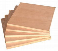 Block Board Plywood