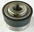 Pistons with replacement rubbers