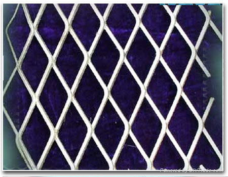 expanded metal mesh/plate