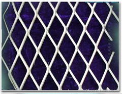 expanded metal mesh/plate