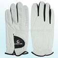 Golf Glove 2