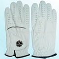 Golf Glove 5