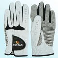 Golf Glove