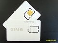 GSM TEST SIM CARD 1