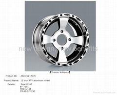 ATV/Quad rim