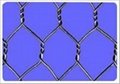 Hexagonal Wire Netting  