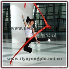 Gymnastic ribbon