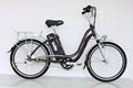 electric bicycle/bike      harmonious trip 1