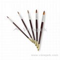 Artist Brushes