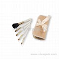 Cosmetic Brush Kit