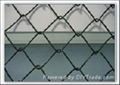 chain link fence 4