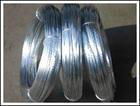 galvanized iron wire  5