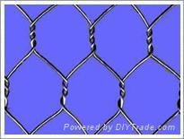 Hexagonal wire mesh/mighty hexagonal wire mesh/wire mesh/fraction shape wire mes