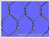 Hexagonal wire mesh/mighty hexagonal wire mesh/wire mesh/fraction shape wire mes