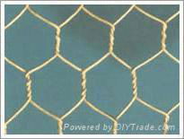 Hexagonal wire mesh/mighty hexagonal wire mesh/wire mesh/fraction shape wire mes 4