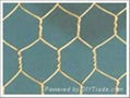 Hexagonal wire mesh/mighty hexagonal wire mesh/wire mesh/fraction shape wire mes 4