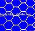 Hexagonal wire mesh/mighty hexagonal wire mesh/wire mesh/fraction shape wire mes 5