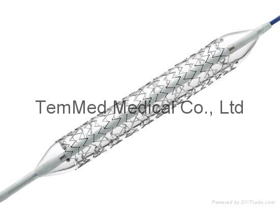 STENT DELIVERY SYSTEM