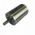 Planetary Gear Motor 1