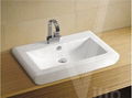 Vanity Basin 3