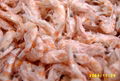 Freeze-dried Antarctic Krill 1