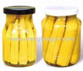  Canned Baby Corn 1