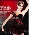 corsets for party and ball 